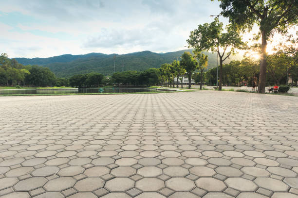 Best Local Driveway Pavers  in Woodmore, MD